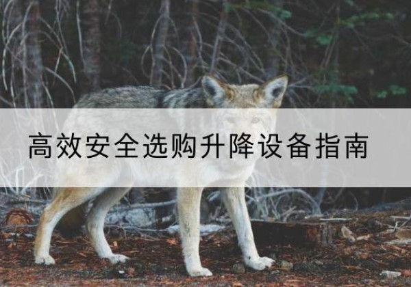 苏仙升降货梯厂家推荐-*安全选购升降设备指南