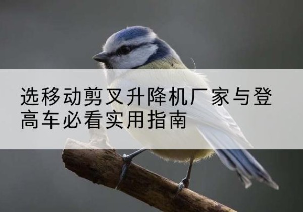 苏仙电动升降机厂家-选移动剪叉升降机厂家与登高车必看实用指南