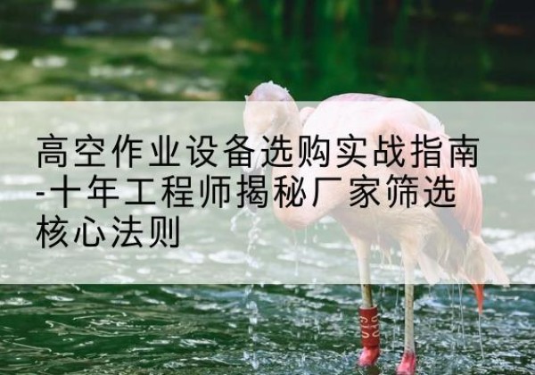 苏仙剪叉式升降机厂家-高空作业设备选购实战指南-十年工程师揭秘厂家筛选核心法则